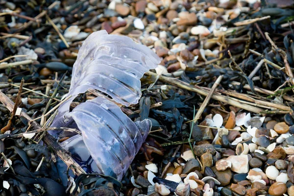 Basura Plástica Otros Desechos Dejados Playa Isla Grain Kent Reino —  Fotos de Stock