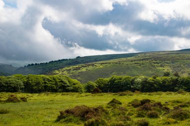 Bir görünümünü moor arazi Dartmoor Milli Parkı, Devon, İngiltere