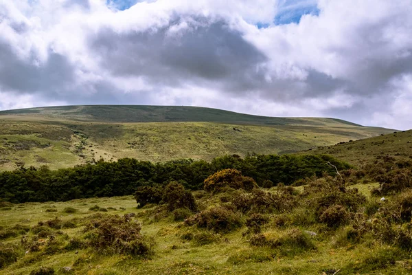 Bir Görünümünü Moor Arazi Dartmoor Milli Parkı Devon Ngiltere — Stok fotoğraf