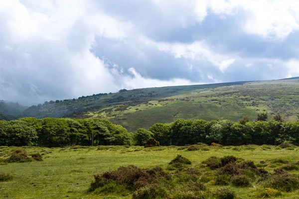 Een Weergave Van Moor Land Van Dartmoor National Park Devon — Stockfoto