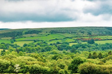 Bir görünümünü tarım arazisi içinde Dartmoor Milli Parkı, Devon, İngiltere