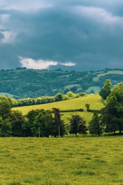 Bir görünümünü tarım arazisi içinde Dartmoor Milli Parkı, Devon, İngiltere