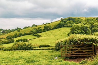 Bir görünümünü tarım arazisi içinde Dartmoor Milli Parkı, Devon, İngiltere
