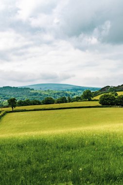 Bir görünümünü tarım arazisi içinde Dartmoor Milli Parkı, Devon, İngiltere