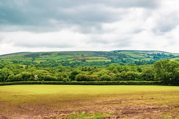 Bir görünümünü tarım arazisi içinde Dartmoor Milli Parkı, Devon, İngiltere