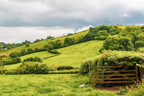 Een Weergave Van Landbouwgrond Dartmoor Nationaal Park Devon Verenigd Koninkrijk — Stockfoto