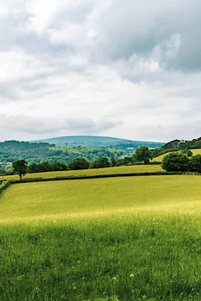 Bir görünümünü tarım arazisi içinde Dartmoor Milli Parkı, Devon, İngiltere