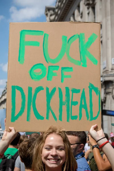 Londýn Velká Británie Července 2018 Placards Nesena Proti Demonstrantům Donald — Stock fotografie