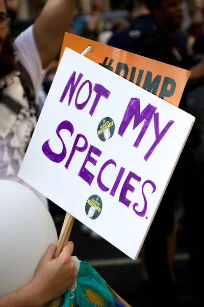 Londres Reino Unido Julio 2018 Placas Portadas Por Manifestantes Donald —  Fotos de Stock