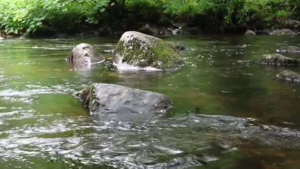 英国德文郡的一条河流流经达特穆尔国家公园 — 图库视频影像