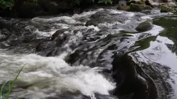 River Flowing Dartmoor National Park Devon Reino Unido — Vídeo de Stock