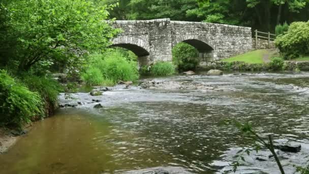 Dartmoor Milli Parkı Devon Ngiltere Üzerinden Akan Bir Nehir — Stok video