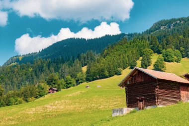 Alp Liechtenstein Prensliği manzarada görünümünü