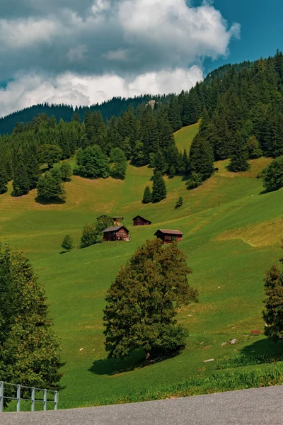 Kilátás Nyílik Táj Alpesi Liechtensteini Hercegség — Stock Fotó