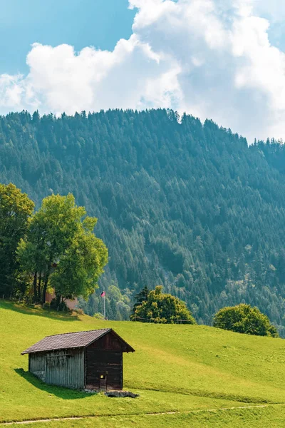 Veduta Del Paesaggio Nel Principato Alpino Del Liechtenstein — Foto Stock