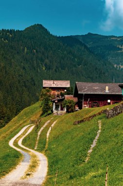 Steg merkezi Liechtenstein küçük bir köyde bir görünümünü sermaye Vaduz ve Malbun arasındaki yolda