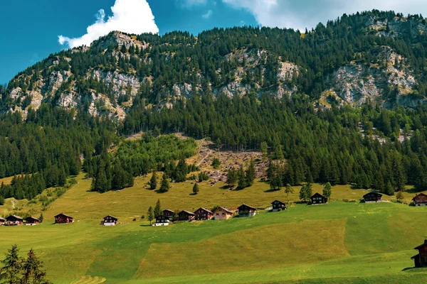 Een Weergave Van Een Klein Dorp Centraal Liechtenstein Steg Weg — Stockfoto