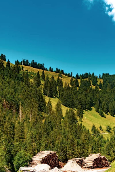 Högar Fällda Träd Skivdebut Centrala Liechtenstein — Stockfoto