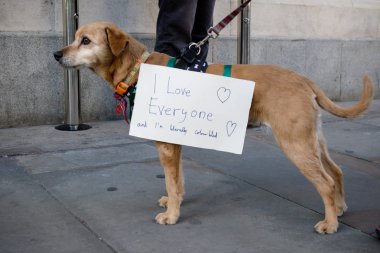 Londra, İngiltere, 17 Kasım:-bir köpek için Stand ırkçılık, Whitehall Downing Street yakınındaki BBC Londra Mart