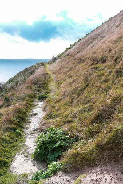 Parkland Aan Bovenkant Van Beroemde White Cliffs Dover — Stockfoto