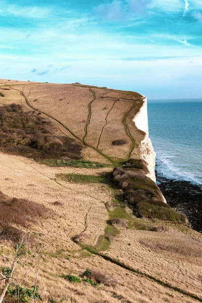 Parkland Aan Bovenkant Van Beroemde White Cliffs Dover — Stockfoto