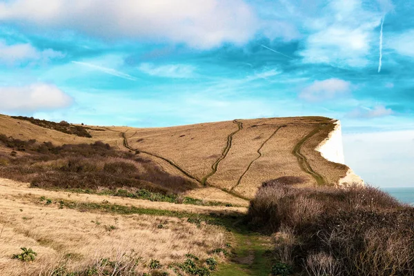 Parkland Aan Bovenkant Van Beroemde White Cliffs Dover — Stockfoto