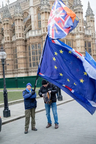 Лондон Великобритания Января 2019 Года Протестующие Против Брексита Проевропейские Союзы — стоковое фото