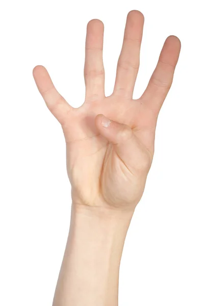Alfabeto in lingua dei segni americana — Foto Stock