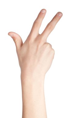 İngiliz işaret dili