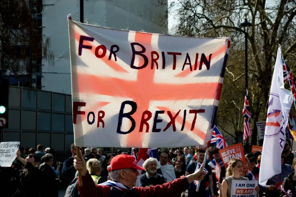 런던에서 Brexit 일 항의 — 스톡 사진