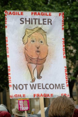 Londra'nın merkezinde Anti Donald Trump Protestocular