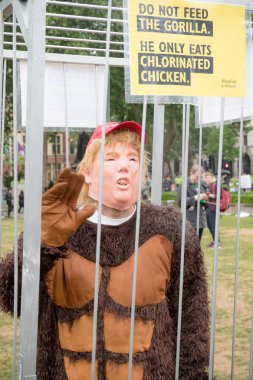 Londra'nın merkezinde Anti Donald Trump Protestocular