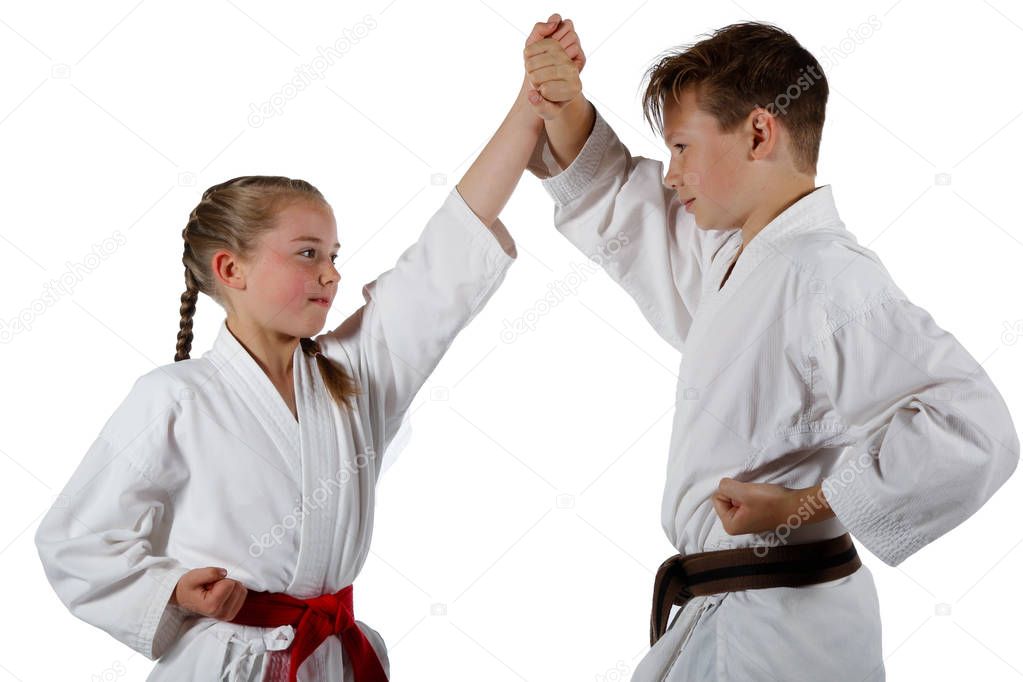 Martial Arts