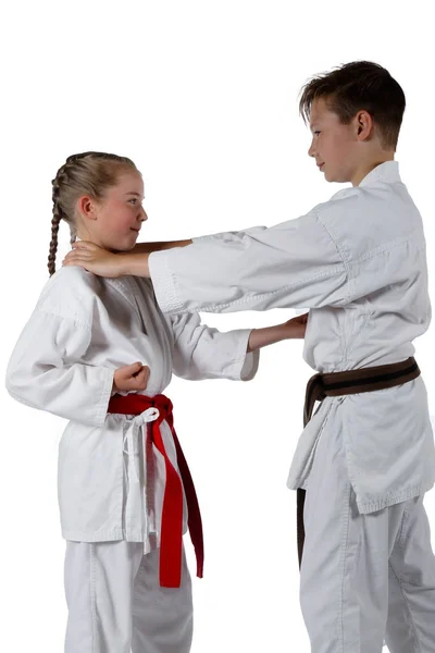 Martial Arts — Stock Photo, Image