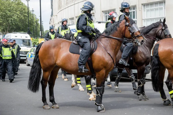 Protifašistické protesty v Londýně — Stock fotografie