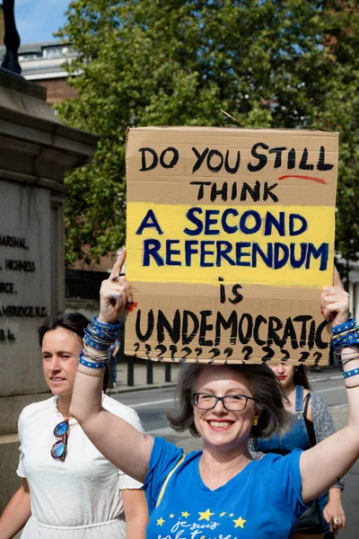 Protestas en el centro de Londres 31 de agosto de 2019 —  Fotos de Stock