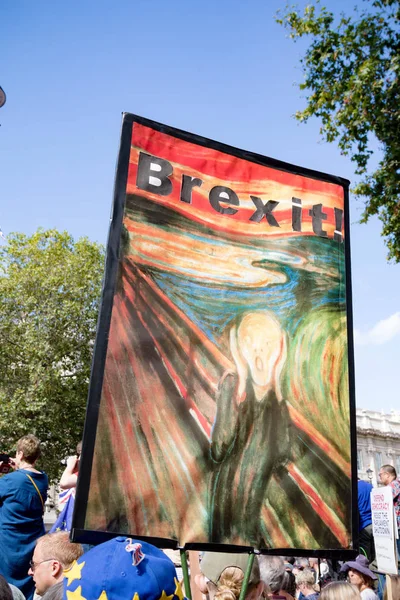 Protestas en el centro de Londres 31 de agosto de 2019 —  Fotos de Stock