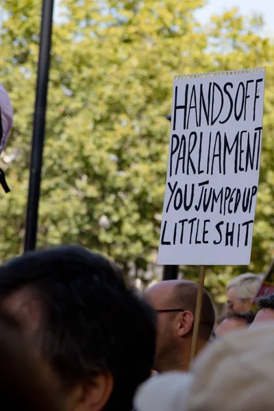 Protests in Central London August 31st 2019 — Stock Photo, Image