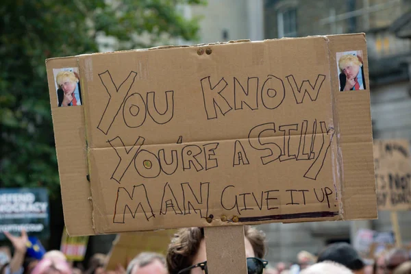 Protestas en el centro de Londres 31 de agosto de 2019 — Foto de Stock