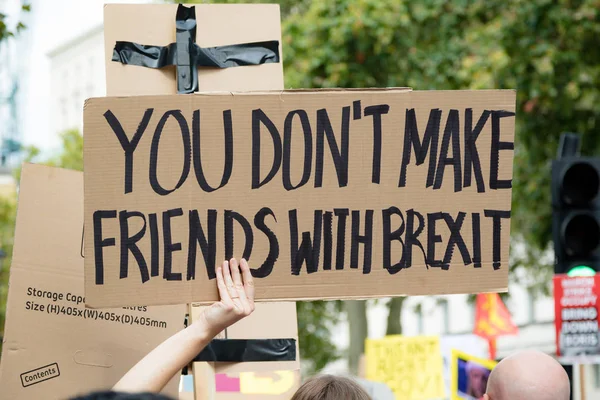 Акции протеста в центре Лондона 31 августа 2019 года — стоковое фото