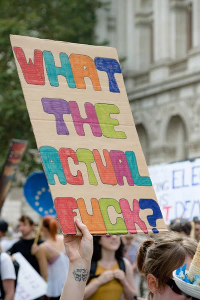 Protestos no centro de Londres 31 de agosto de 2019 — Fotografia de Stock
