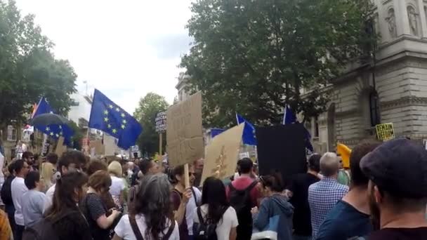 London Storbritannien Augusti 2019 Demonstranter Whitehall Centrala London Protesterar Premiär — Stockvideo