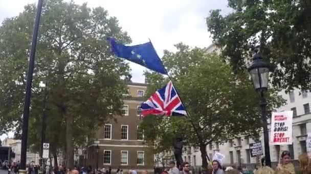 Лондон Сполучене Королівство Серпня 2019 Люди Літають Британські Прапори Під — стокове відео