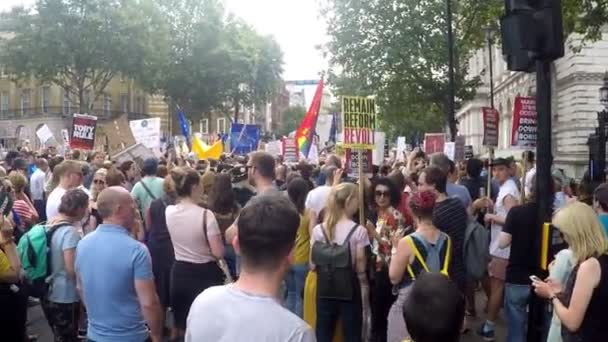 Londra Birleşik Krallık Ağustos 2019 Whitehall Londra Nın Merkezindeki Protestocular — Stok video