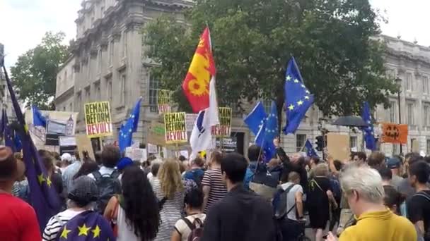 ロンドン 2019年8月31日 ホワイトホール 中央ロンドンの抗議者は ボリス ジョンソン首相の議会を5週間停止する計画に抗議する — ストック動画