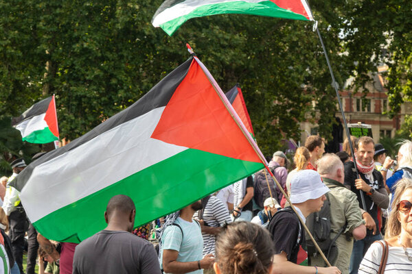Лондон, Великобритания, 6 сентября 2025 года: - Протестующие за Палестину на Парламентской площади, под флагом государства Палестина