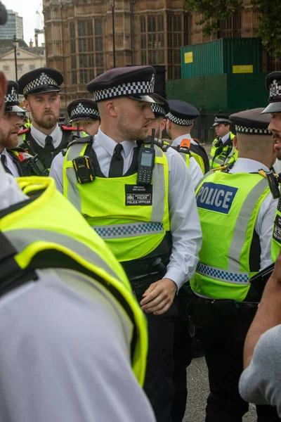 Londra, Birleşik Krallık, 6 Eylül 2025 - Pro Filistin Protestocuları ve Parlamento Meydanı Metropolitan Polisi üyeleri 