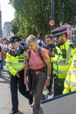 Londra, Birleşik Krallık, 6 Eylül 2025 - Metropolitan Polisi, Parlamento Meydanı 'nda yaşlı bir Filistinli protestocuyu tutukladı