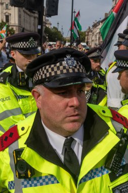 Londra, Birleşik Krallık, 6 Eylül 2025 - Metropolitan Polisi Parlamento Meydanı 'nda Filistin yanlısı bir protestocuyu tutukladı
