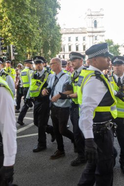 Londra, Birleşik Krallık, 6 Eylül 2025 - Metropolitan Polisi Parlamento Meydanı 'nda Filistin yanlısı bir protestocuyu tutukladı